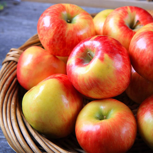 Organic Honeycrisp Apples - 1lb