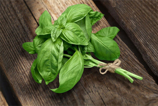 Organic Basil - 1 bunch