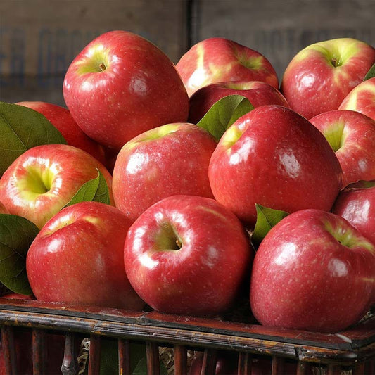 Organic Pink Lady Apples